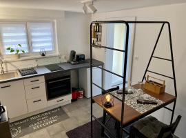 Le Pi'style(chambre,cuisine,salle d’eau,terrasse)，位于Ingwiller的酒店