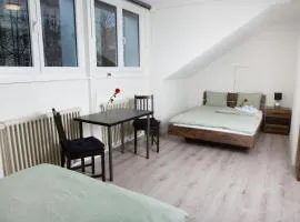 RUSTICO INN - SIMPLE ROOMS -- OLMA Messen & Autobahn 1 Min, HSG 6 Min, Spital 7min, günstige Parkplätze