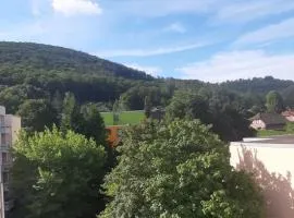 Weitblick