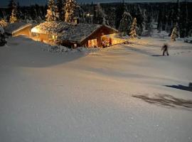 Hytte sentralt Ljøsheim, Ringsaker(nær Sjusjøen)，位于Ringsaker的酒店