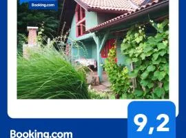 Fairytale Wooden house by Ljubljana