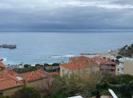 Charmant deux pièces aux portes de Monaco