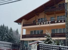 Pensiunea Vladet-，位于普雷代亚尔的旅馆