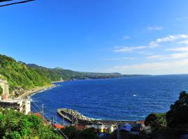 伊豆海の家（Izu Seaside Villa），位于东伊豆町的酒店