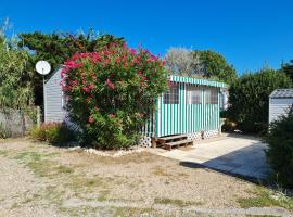 Mobil home sur camping 4 étoiles CAP SOLEIL St Denis d'Oléron，位于La Bétaudière的酒店