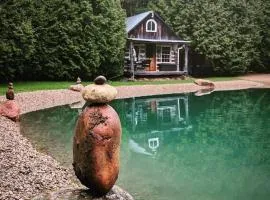 A rustic cabin in the woods