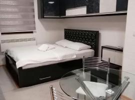 Apartman De lux Zlatibor，位于兹拉蒂博尔的公寓式酒店