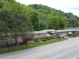 Parkway Inn，位于韦恩斯维尔的酒店