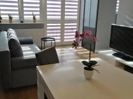 Apartament w Centrum