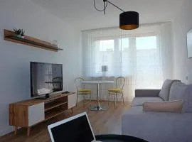 A spacious apartment for holidays and weekends