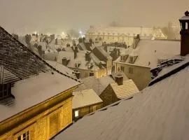 BELLEVUE Appartement sous les toits hypercentre climatisé