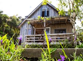 Fern Lodge Coromandel，位于科罗曼德镇的木屋