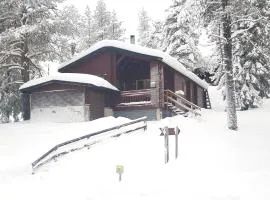 Ruka Villa Kieppi