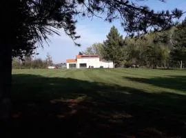 Grande maison avec parc et SPA