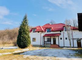 Casa Ina Rasnov，位于莱斯诺夫的乡村别墅