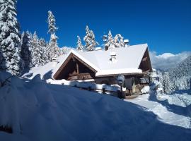 Quaint alpine hut in the Stubaital with sauna，位于施图拜河谷新施蒂夫特的别墅
