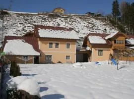 Modern holiday apartment in Rennweg am Katschberg