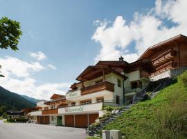 Chalet apartment in ski area Saalbach-Hinterglemm，位于萨尔巴赫的酒店
