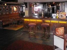 Sheffield Arms，位于Burton upon Stather的酒店