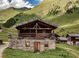 Lechnerhütte Fane Alm，位于瓦勒斯的公寓