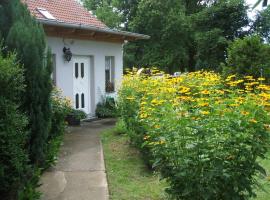 Spacious Holiday Home in Sommerfeld near Lake，位于Kremmen的别墅