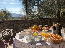 Fattoria Lornano Winery，位于蒙特里久尼的酒店