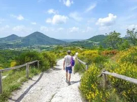 Gorgeous Home In Monselice With Wifi