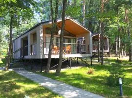 3pokoje - domek lub pokój pod lasem na odludziu