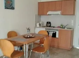 纳图拉一室公寓