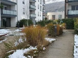 Chez'toi Gex, proche de Genève & stations de Ski