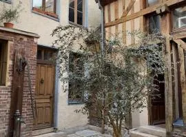Aube berges de Troyes