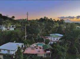 Pancho's Paradise - Rainforest Guesthouse with Pool, Gazebo and View，位于Canovanas的酒店