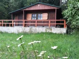 Chata - Na samotě u lesa