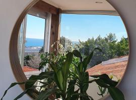 White House，位于帕雷迪的酒店