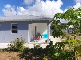 Maison de 2 chambres avec jardin clos a Grand Bourg