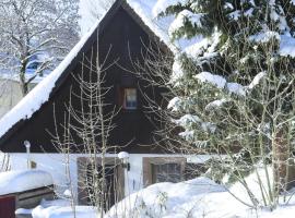 Holiday home with terrace in the Black Forest，位于黑林山区圣格奥尔根Schloßberg Ski Lift附近的酒店