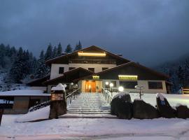 瓦莱多洛酒店，位于博尔诺的酒店