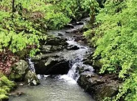 Secluded Home with Mini Waterfall and a Creek in Hot Springs