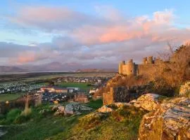 Y Branwen Restaurant & Rooms - Adult Only and Dog Friendly