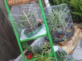 Singular...es，位于楚伊的酒店