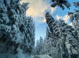 CEDAR LODGE NEXT TO LIFT ONE BEDROOM APARTMENT，位于班斯科的酒店