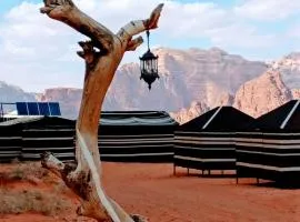 Desert Tree camp&tours