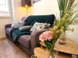 Bel appartement Type T3 climatisé