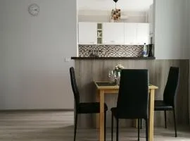 Draugystės Apartment