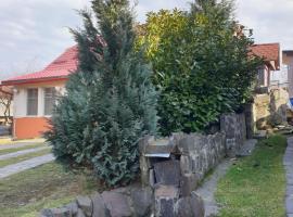 Casa cu fantana，位于Borleşti的酒店