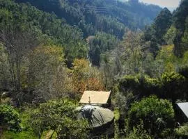 Green Man yurt