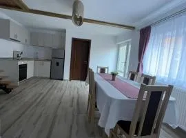 Casa Zorilor