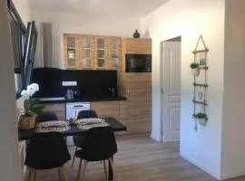 Charmante maisonnette avec terrasse à 100m de la plage