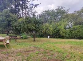 יערה בכפר קרוב לנחל