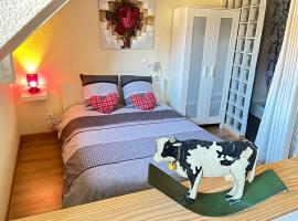 Gite St Léon à Eguisheim，位于埃圭斯海姆的酒店